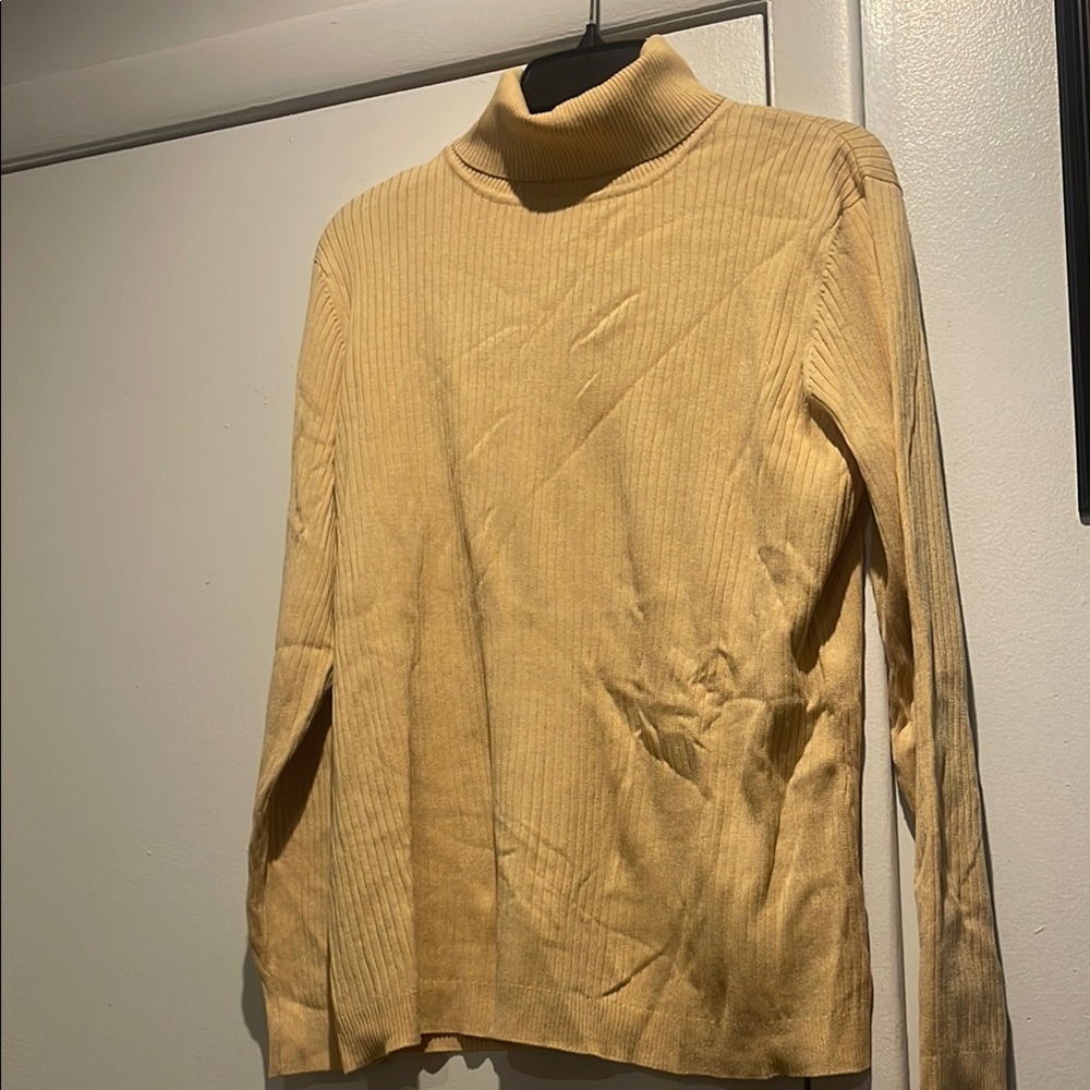 Elegant Cream Turtleneck Sweater